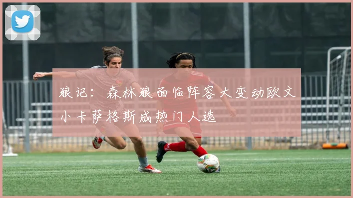 狼记：森林狼面临阵容大变动欧文小卡萨格斯成热门人选