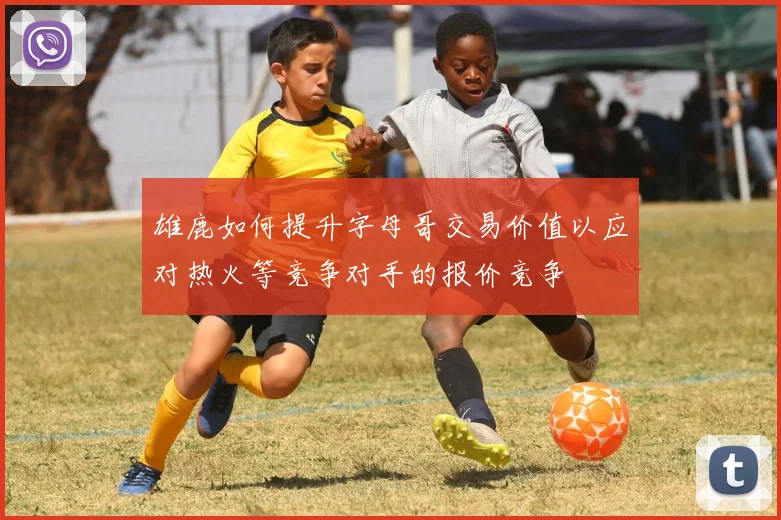 雄鹿如何提升字母哥交易价值以应对热火等竞争对手的报价竞争